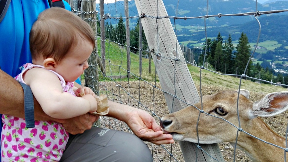 Unsere Erfahrung im Familenurlaub in Waidring Tirol.