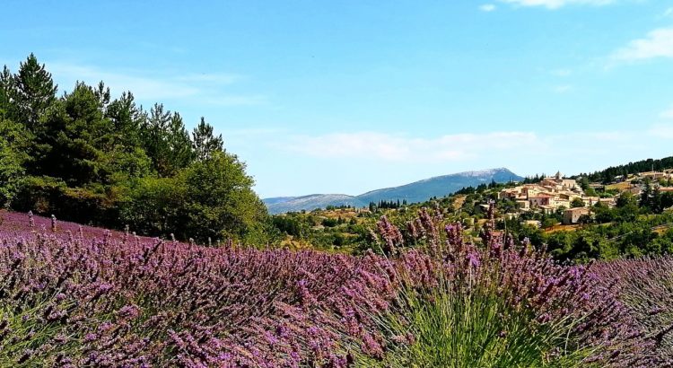 Cattier Paris Naturkosmetik Kneipp Erfahrung