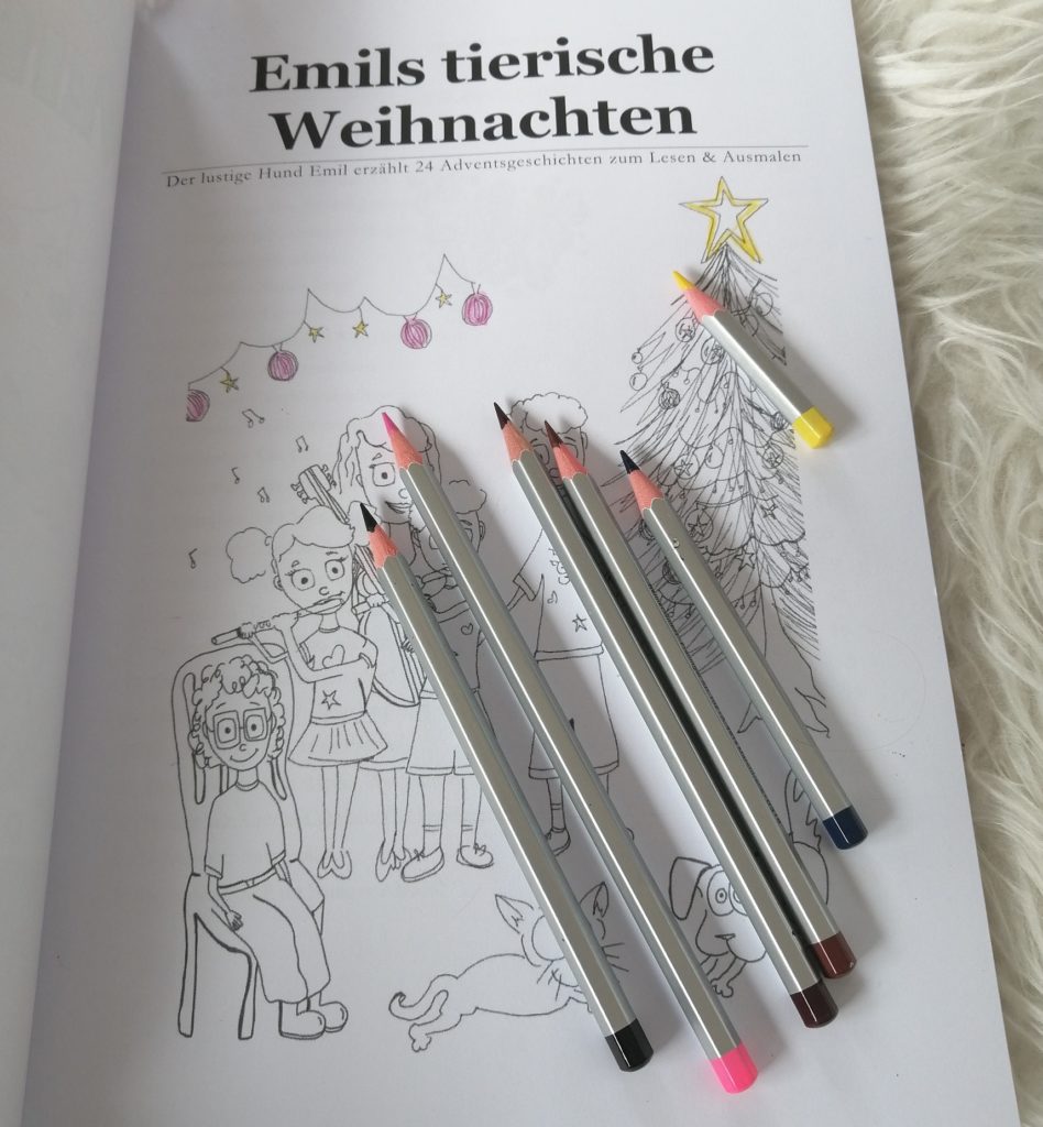 Adventskalender Emils Tierische Weihnachten