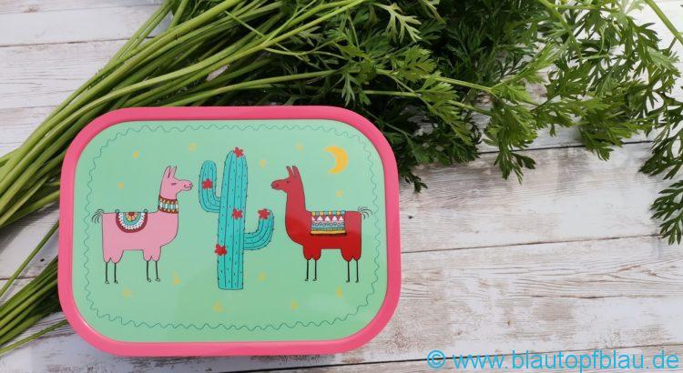 MyMepal Lunchbox Bewertung Erfahrung